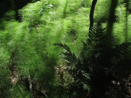 ���������, 6 ���� 2013