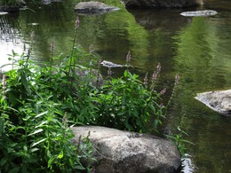 ���������, 21 ���� 2013