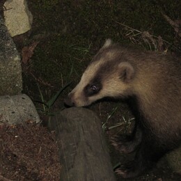 ������, Matsue, ������, 2 ������� 2013