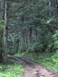 Matsue, ������, 4 ������� 2013