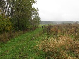 �����������, 28 �������� 2013