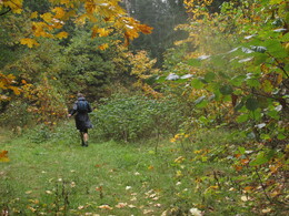 �����������, 28 �������� 2013