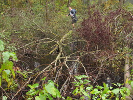 �����������, 28 �������� 2013