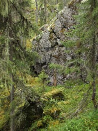 �������� ���������, 4 ������� 2013