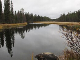 �������� ���������, 6 ������� 2013