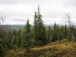 �������� ���������, 6 ������� 2013