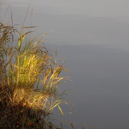 �������� ���������, 6 ������� 2013