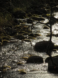 �������� ���������, 6 ������� 2013