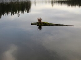 �������� ���������, 6 ������� 2013