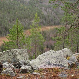 ������ ��������, �������� ���������, 7 ������� 2013