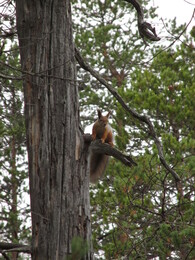 �����, �������� ���������, 7 ������� 2013