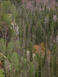 ������ ��������, �������� ���������, 7 ������� 2013