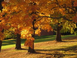 ���������, �������� ���������, 7 ������� 2013