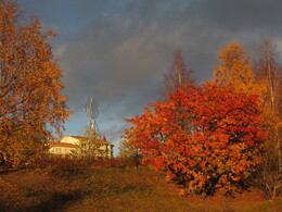 ���������, �������� ���������, 7 ������� 2013