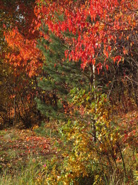 �����, ���������, 12 ������� 2013