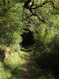 ����������, 20 ������� 2013