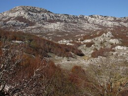 ����������, 22 ������� 2013