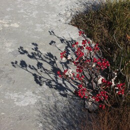 ����������, 22 ������� 2013