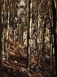 ����������, 22 ������� 2013