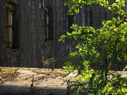 ����������, 23 ������� 2013