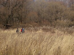 �����������, 2 ������ 2013