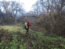 �����������, 3 ������ 2013