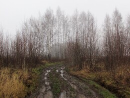 �����������, 3 ������ 2013