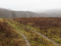 �����������, 3 ������ 2013