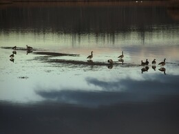 �����, ���������, 6 ������ 2013