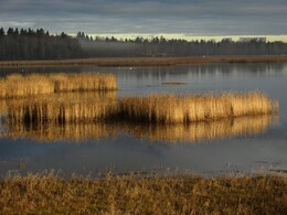 �����, ���������, 6 ������ 2013