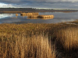 �����, ���������, 6 ������ 2013