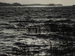 �����, ���������, 17 ������ 2013