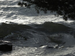 �����, ���������, 17 ������ 2013