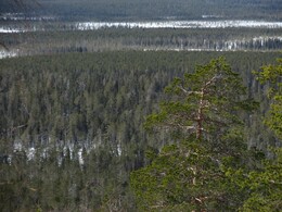 �������� ���������, 29 ����� 2014