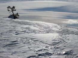 �������� ���������, 29 ����� 2014