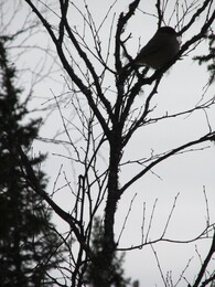 �������� ���������, 29 ����� 2014