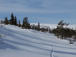 �������� ���������, 30 ����� 2014