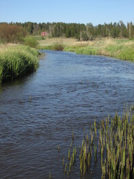 ���������, 17 ��� 2014