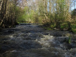 ���������, 17 ��� 2014