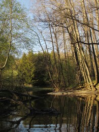 ���������, 17 ��� 2014