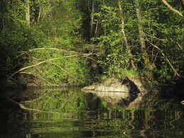 ���������, 17 ��� 2014