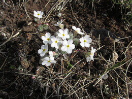 ��������, 3 ���� 2014