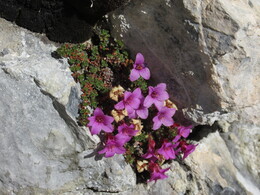 ��������, 5 ���� 2014