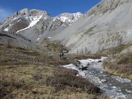 ��������, 5 ���� 2014