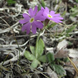 ��������, 9 ���� 2014