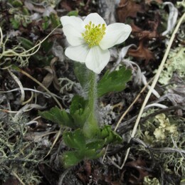 ��������, 9 ���� 2014