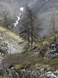 ��������, 10 ���� 2014