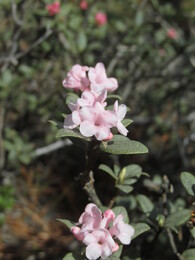 ��������, 10 ���� 2014