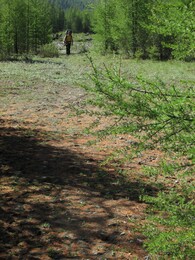 ��������, 12 ���� 2014