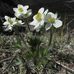 ��������, 13 ���� 2014